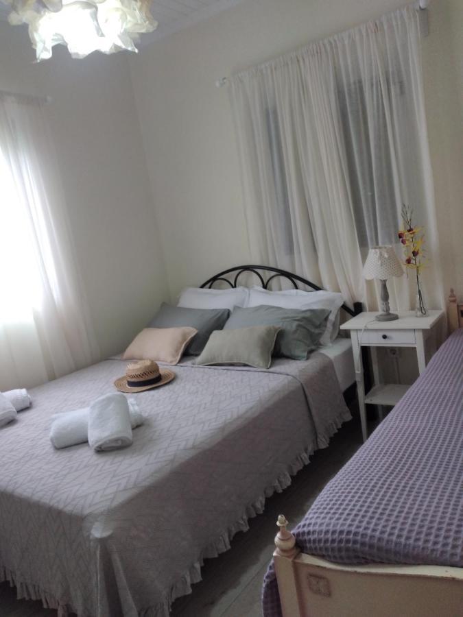 Villa Andriana Lefkada City Bagian luar foto